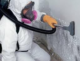 Trusted Bloomfield, IA Mold Remediation Experts